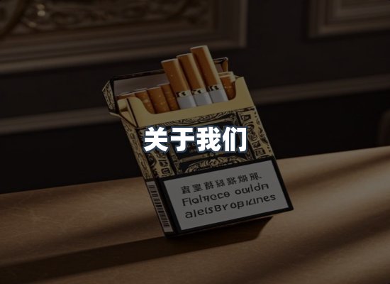 专业团队
